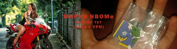 ECSTASY Богородицк