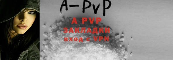 первитин Богданович