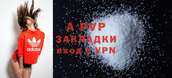 ECSTASY Богородицк
