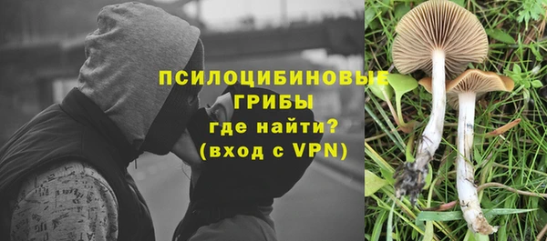 первитин Богданович