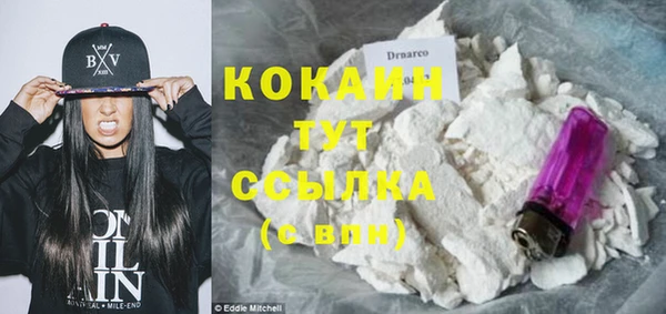 ECSTASY Богородицк