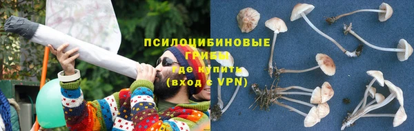 ECSTASY Богородицк