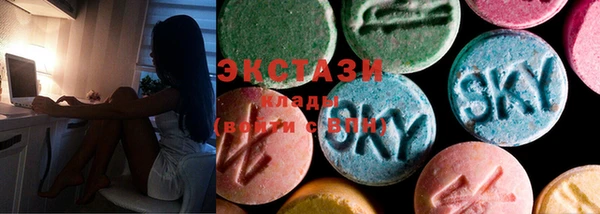 ECSTASY Богородицк