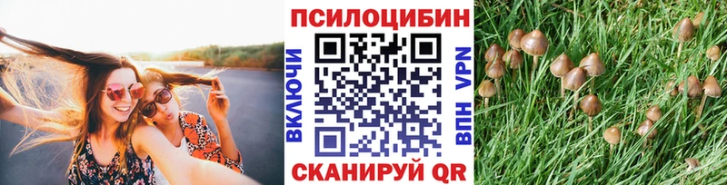 MEGA как войти  Монино  Галлюциногенные грибы мухоморы  наркошоп 